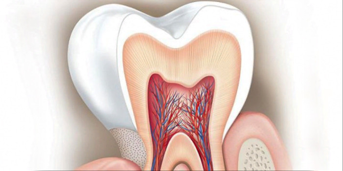 Почему возникает чувствительность зубов: причины и способы устранения